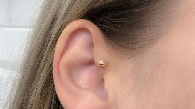 anatometalpiercing_anatometalnederland_