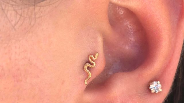 risingbastards_bodygems_nijmegen_snake