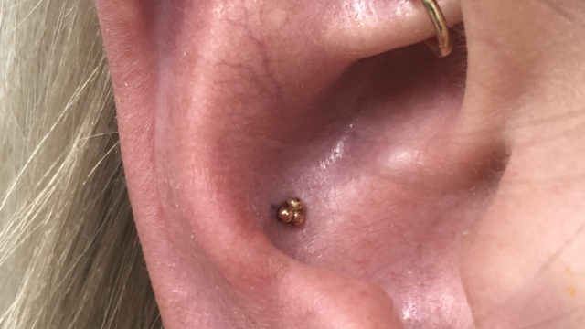Conch-Rook_Mariatashnijmegen_Trinity Ball-Segment Clicker-01