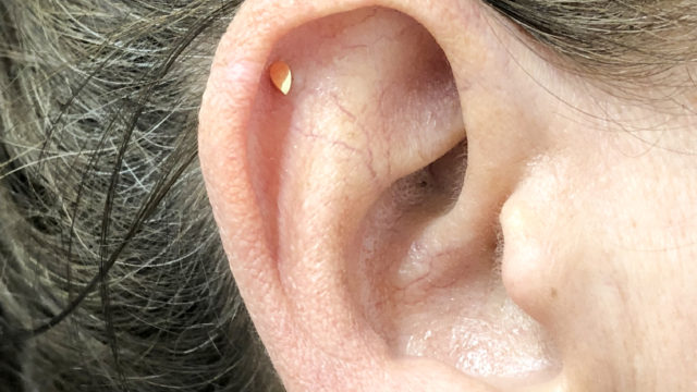 Helix_Mariatashnijmegen_Plain Pear Stud