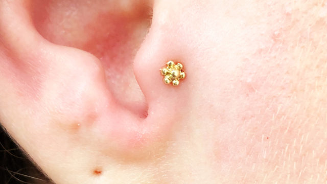 Tragus_Mariatashnijmegen_Flower Treaded Stud