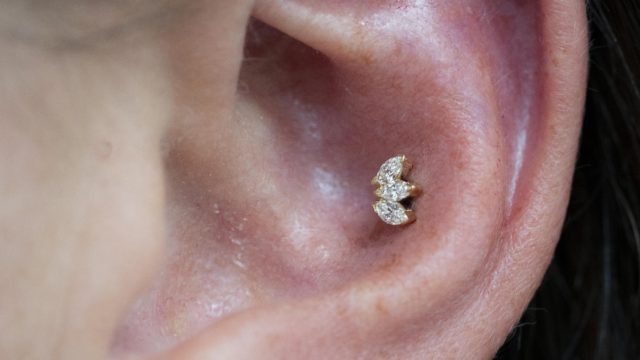 bvla-conch-mariatash