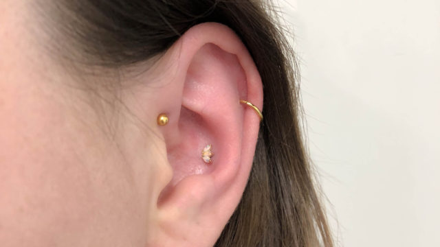 bvla_nederland_triplemarquisefan_piercing