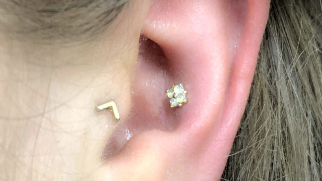 bvlapiercing_nederland_risingbastards