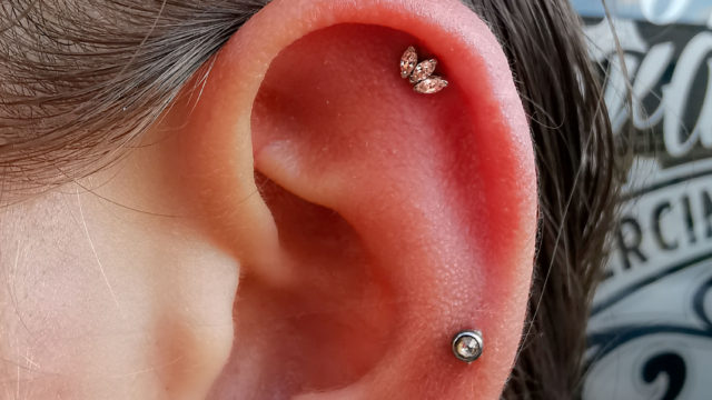 marquisefan-bvla-amsterdam-piercing