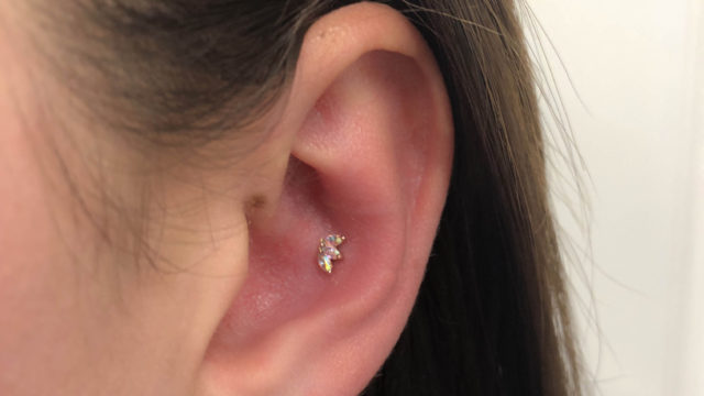 marquisefan_bvla_piercing_nederland
