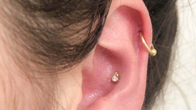 nederland_bvla_piercing_nijmegen