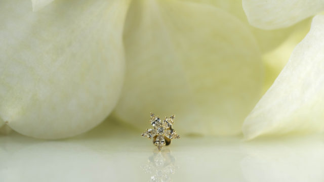 pearcut-mariatash-diamondflower-nederland