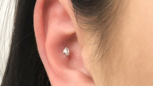 piercingnijmegen_bvla_nederland_conch
