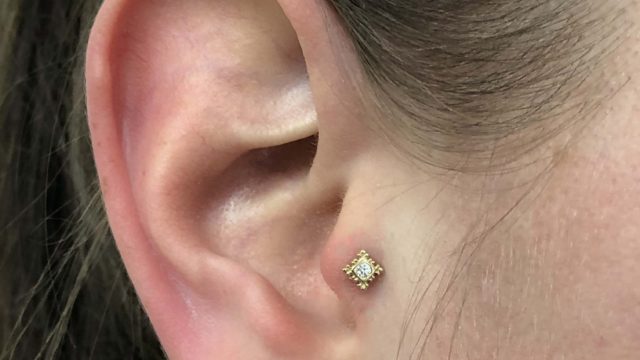 tragus_bvla_bvlapiercingnederland