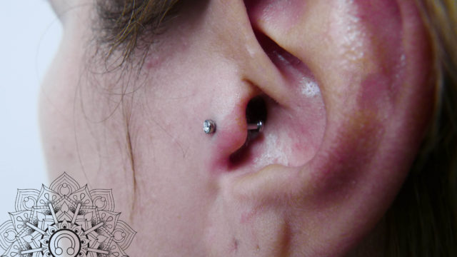 traguspiercing-piercingstudiokopie