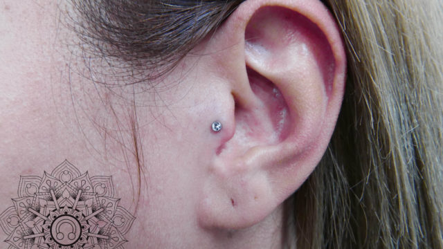 traguspiercing_piercingnijmegenkopie